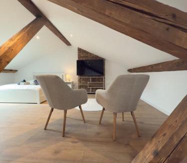 Montbeliard Apartment | Duplex spacieux - Centre ville - Vue sur le château