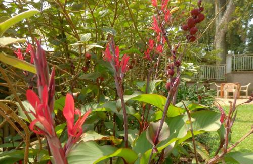 Fort Portal Hotel | Dutchess Hotel and Restaurant