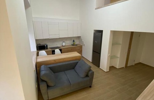 Petrovskoye Apartment | Двухуровневые апартаменты на Озерянской