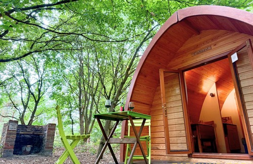 Bury St Edmunds Cabin | Eadmund Pod