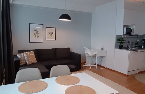 Lappeenranta Apartment | Easy going apartment at city center! Private sauna, Wi-Fi and free parking hall