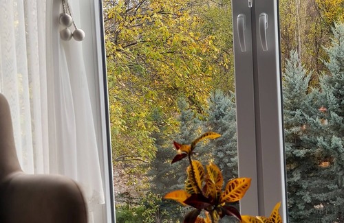 Nar Villa | Ebruli Cennet Bahçesi