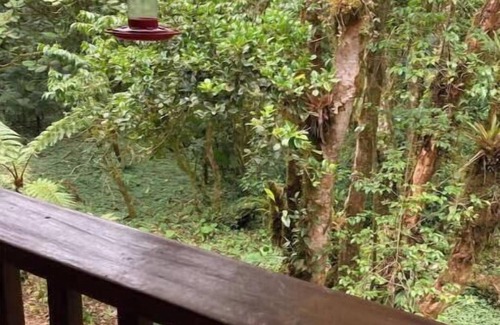 Cerro Punta Apartment | Eco-Cabin in Cerro Punta