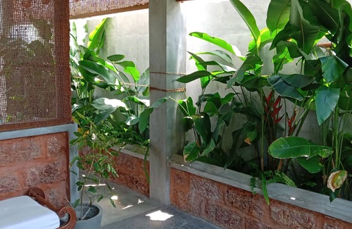 Dammakusala Mawatha Ski Chalet | eco friendly chalet with super close to great cinnamon hiking trails