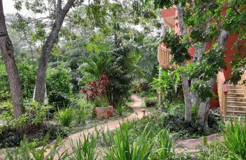 Santa Elena Cabin | Eco-Hotel Nueva Altia