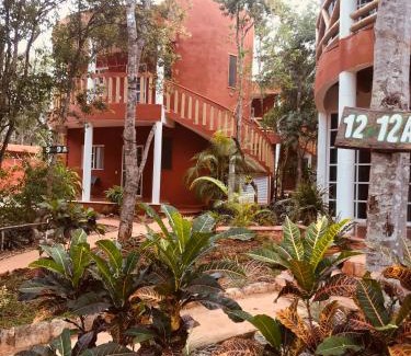 Santa Elena Cabin | Eco-Hotel Nueva Altia