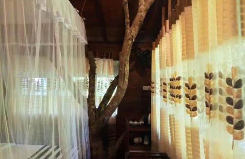 Ella Resort | Eco Village