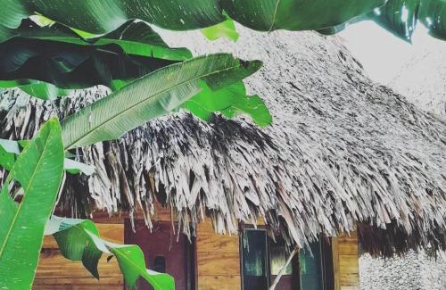 Canaveral House | ECOCABAÑAS DIOSA JAGUAR tayrona