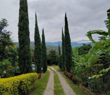 Ginebra Hotel | Ecohotel la Floresta