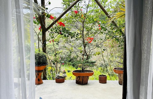 Rionegro Apartment | ecohotel zona 7