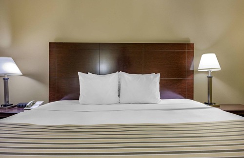 Triadelphia Hotel | Econo Lodge Inn & Suites Triadelphia - Wheeling