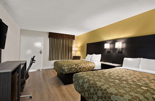 White Pine Hotel | Econo Lodge White Pine Morristown I-81 & I-40 Split