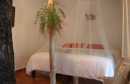 Chan Chemuyil Hotel | Ecovergel Riviera Maya Hotel Boutique