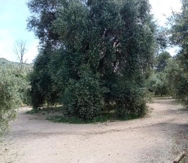 Prados de Armijo Apartment | El Almendro de la Tia Teresa