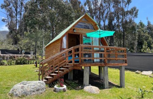 Guatavita Other | El Alpino Cabaña Glamping & Camping
