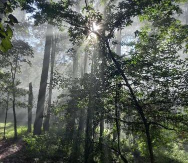 Zinacantan Ski Chalet | El Búho, cabañas, camping, trailer park