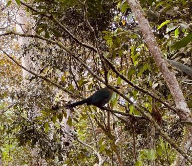 Calima Resort | El Bosque - Lago Calima