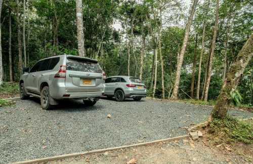 Calima Resort | El Bosque - Lago Calima