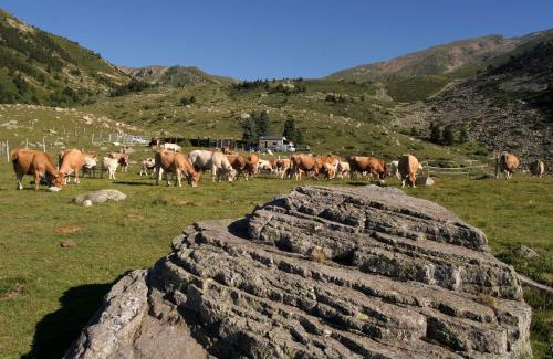 Prats-de-Mollo-la-Preste House | El Casal