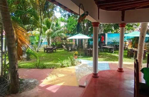 Las Galeras Hotel | El jardín del coco