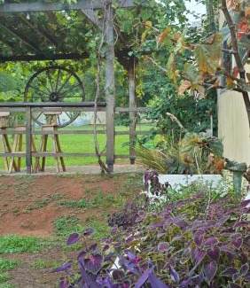 Trinidad Villa | El Jardín Secreto