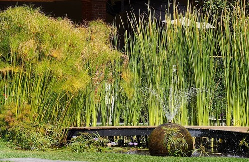 Xochitepec Hotel | El Laurel Hotel Boutique