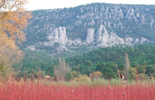 Canamares Cabin | El Llano de los Conejos Cabins - Cabin 2