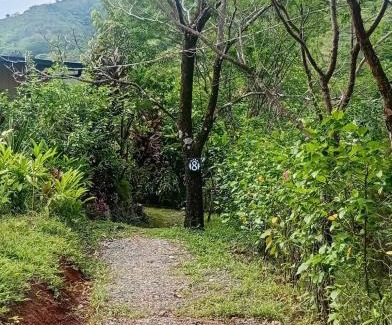 Torio Apartment | El Nido Torio