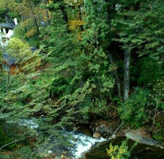 Lanin National Park Apartment | El Oasis Apart Hotel