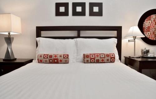 Lincoln Acres Hotel | El Primero Boutique Hotel