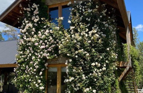 Lolog House | El Remanso Del Quilquihue