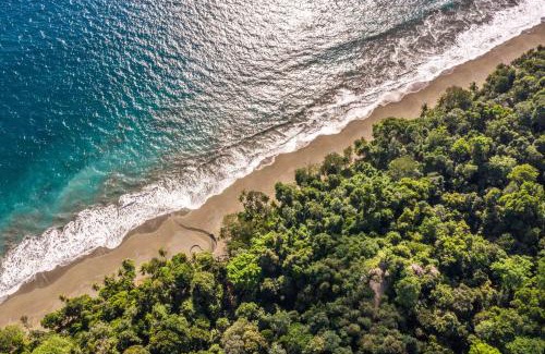 Puerto Jimenez Cabin | El Remanso Rainforest Lodge