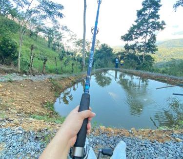 Tayutic Other | El Rincón de mi Tata