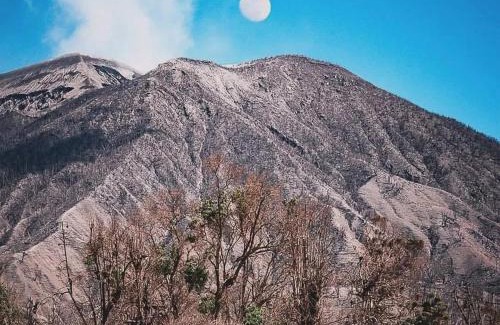 Tayutic Other | El Rincón de mi Tata