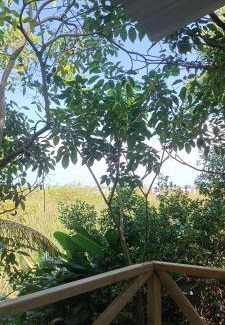 San Bernardo del Viento House | El Viejo del Mar