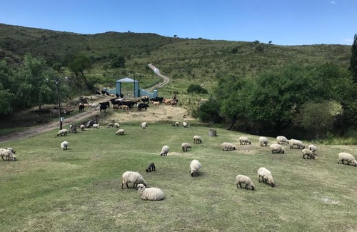 Calamuchita Valley Cabin | El Zuriaco