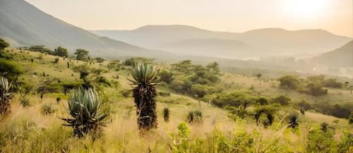 Waterval Boven Other | Elangeni Holiday Resort
