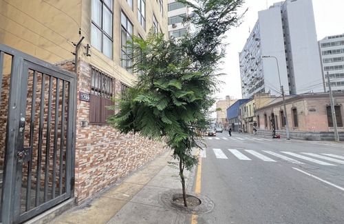 Cercado de Lima Apartment | Elegant apartment in the city center!