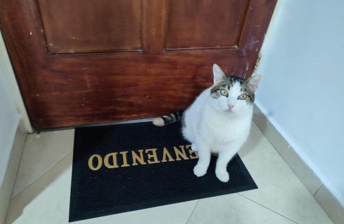 Bucaramanga Apartment | Elegante e Innovador Apartaestudio en San Alonso