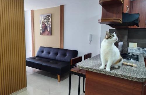 Bucaramanga Apartment | Elegante e Innovador Apartaestudio en San Alonso