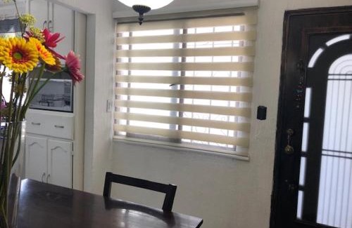 Leon Apartment | Elena's Aparment