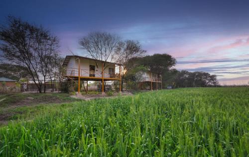 Sawai Madhopur Hotel | ELIVAAS Bagh Serai, Ranthambore