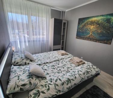 Szolnok Apartment | Elizabet Apartman Szolnok