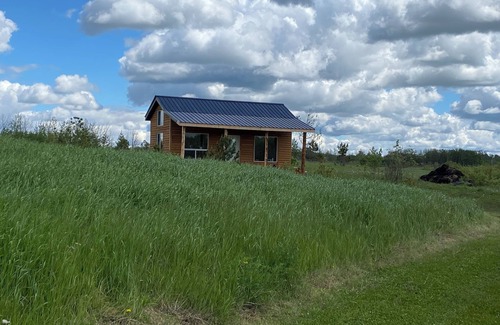 Strathcona County Cabin | Elk Island Getaway! Rustic Cabin. Where peace and nature awaits you!n