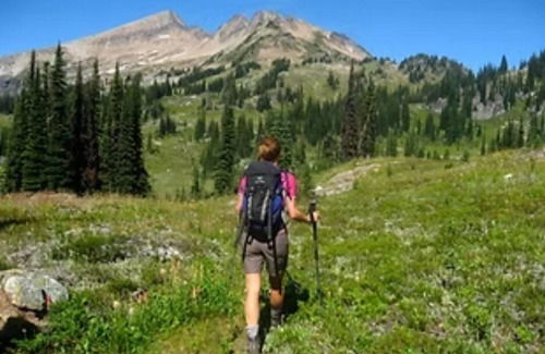 Lima Cabin | Elk Lane Cabin #2