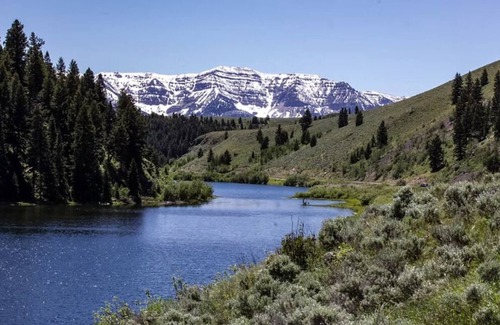 Lima Cabin | Elk Lane Cabin #7