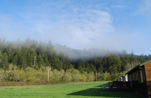 Orick House | Elk Meadow Cabins 11B Roosevelt Elk - Single Room