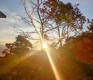 Ella Bed & Breakfast | Ella Bamboo Tree Cottage