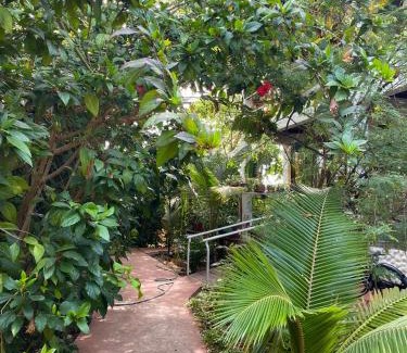 Ancon Bed & Breakfast | Elysium