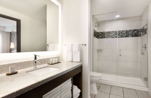 Duluth Hotel | Embassy Suites by Hilton Atlanta NE Gwinnett Sugarloaf